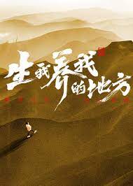 爱民村官